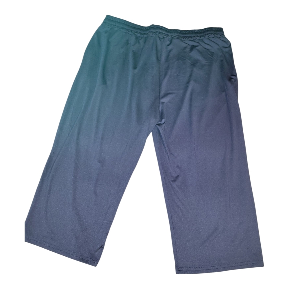 Tarse Stylish Ombre Wide-Leg Pants Size 3XL New Without Tags (J0005)
